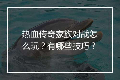 热血传奇家族对战怎么玩？有哪些技巧？