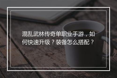 混乱武林传奇单职业手游，如何快速升级？装备怎么搭配？