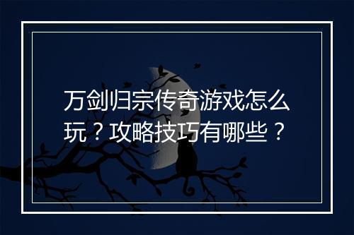 万剑归宗传奇游戏怎么玩？攻略技巧有哪些？