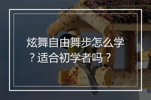 炫舞自由舞步怎么学？适合初学者吗？
