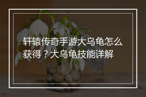 轩辕传奇手游大乌龟怎么获得？大乌龟技能详解