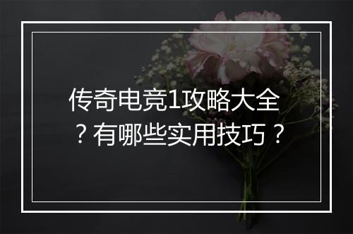 传奇电竞1攻略大全？有哪些实用技巧？