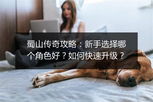 蜀山传奇攻略：新手选择哪个角色好？如何快速升级？
