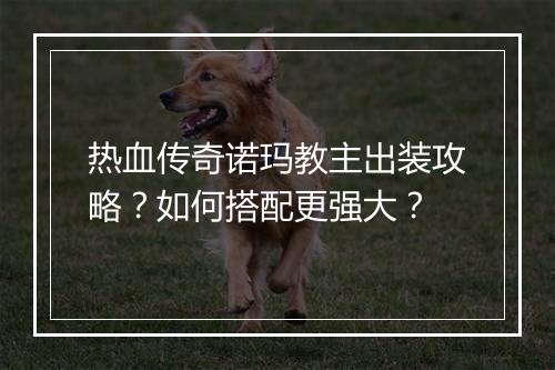 热血传奇诺玛教主出装攻略？如何搭配更强大？
