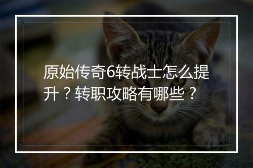 原始传奇6转战士怎么提升？转职攻略有哪些？