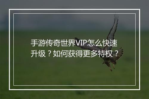 手游传奇世界VIP怎么快速升级？如何获得更多特权？