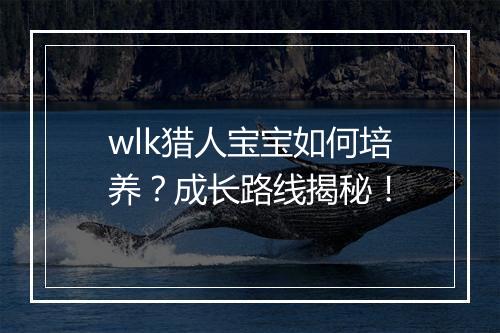 wlk猎人宝宝如何培养？成长路线揭秘！