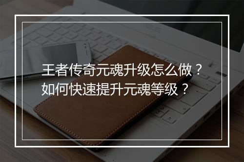 王者传奇元魂升级怎么做？如何快速提升元魂等级？