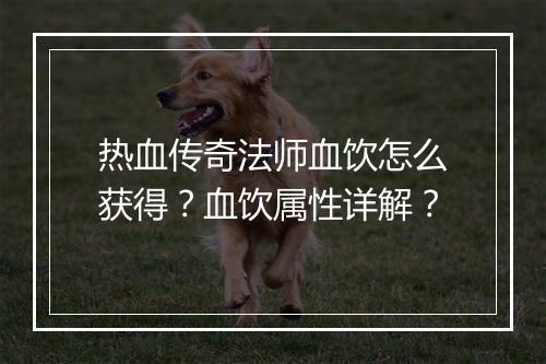 热血传奇法师血饮怎么获得？血饮属性详解？