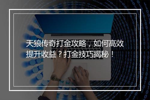 天狼传奇打金攻略，如何高效提升收益？打金技巧揭秘！
