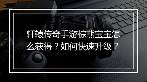 轩辕传奇手游棕熊宝宝怎么获得？如何快速升级？