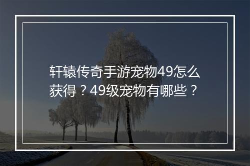 轩辕传奇手游宠物49怎么获得？49级宠物有哪些？