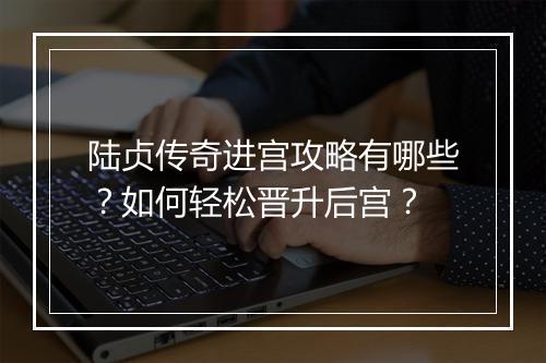 陆贞传奇进宫攻略有哪些？如何轻松晋升后宫？
