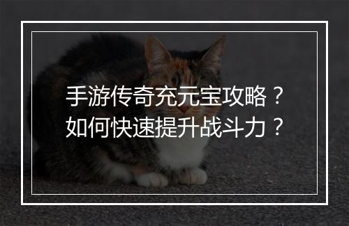手游传奇充元宝攻略？如何快速提升战斗力？