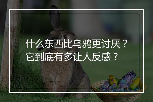 什么东西比乌鸦更讨厌？它到底有多让人反感？