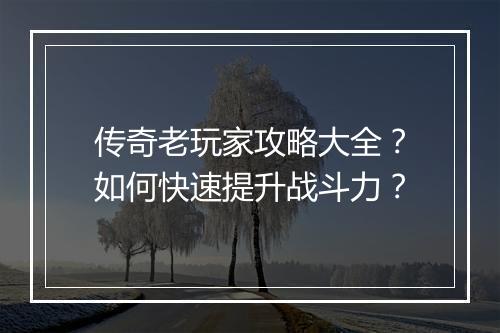 传奇老玩家攻略大全？如何快速提升战斗力？