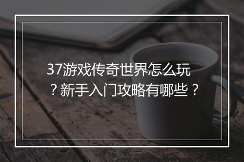 37游戏传奇世界怎么玩？新手入门攻略有哪些？