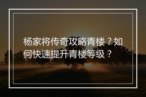 杨家将传奇攻略青楼？如何快速提升青楼等级？