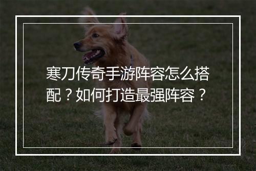 寒刀传奇手游阵容怎么搭配？如何打造最强阵容？