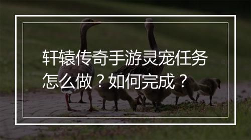 轩辕传奇手游灵宠任务怎么做？如何完成？