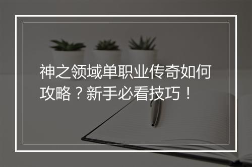神之领域单职业传奇如何攻略？新手必看技巧！