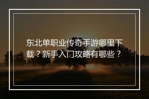 东北单职业传奇手游哪里下载？新手入门攻略有哪些？