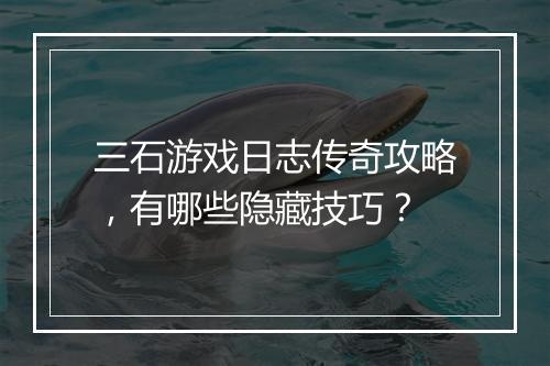 三石游戏日志传奇攻略，有哪些隐藏技巧？