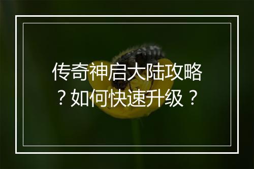 传奇神启大陆攻略？如何快速升级？
