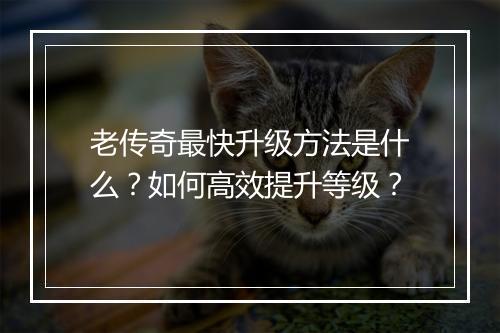老传奇最快升级方法是什么？如何高效提升等级？