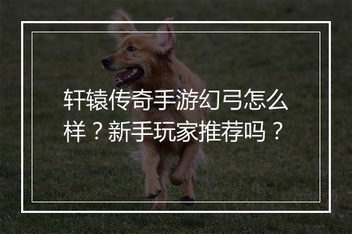 轩辕传奇手游幻弓怎么样？新手玩家推荐吗？