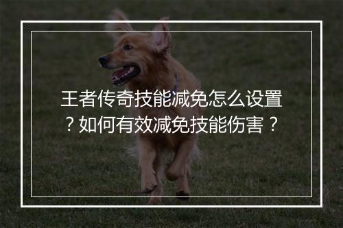 王者传奇技能减免怎么设置？如何有效减免技能伤害？