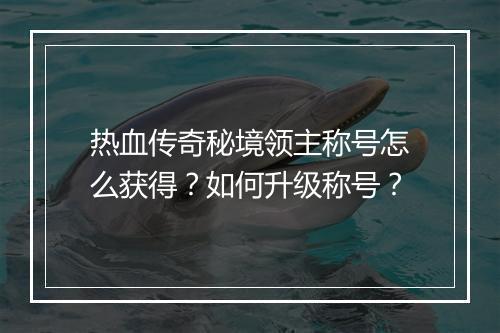 热血传奇秘境领主称号怎么获得？如何升级称号？