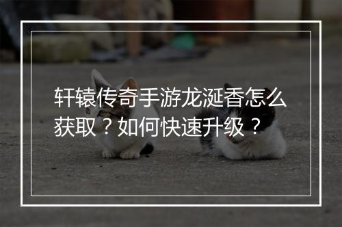 轩辕传奇手游龙涎香怎么获取？如何快速升级？