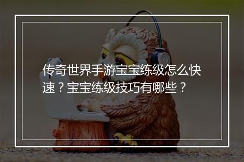 传奇世界手游宝宝练级怎么快速？宝宝练级技巧有哪些？