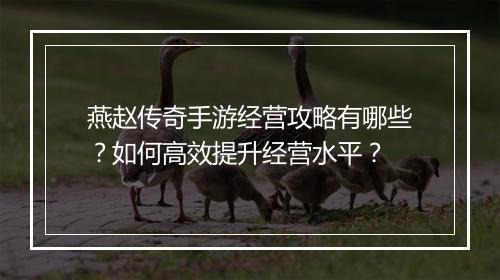 燕赵传奇手游经营攻略有哪些？如何高效提升经营水平？