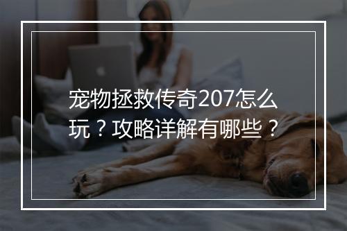 宠物拯救传奇207怎么玩？攻略详解有哪些？