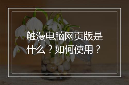 触漫电脑网页版是什么？如何使用？
