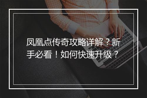 凤凰点传奇攻略详解？新手必看！如何快速升级？