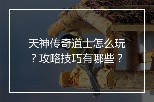 天神传奇道士怎么玩？攻略技巧有哪些？