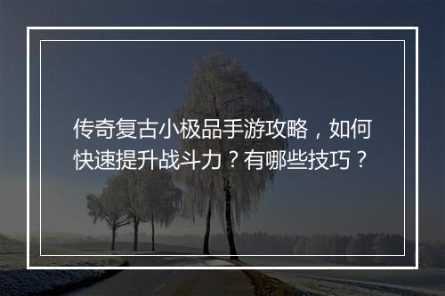 传奇复古小极品手游攻略，如何快速提升战斗力？有哪些技巧？