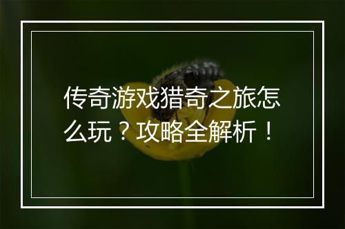 传奇游戏猎奇之旅怎么玩？攻略全解析！