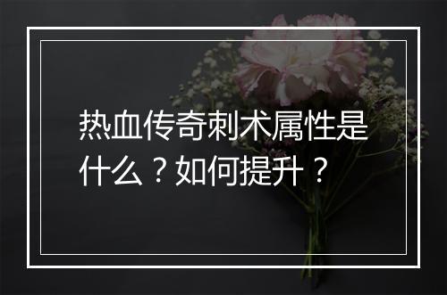 热血传奇刺术属性是什么？如何提升？