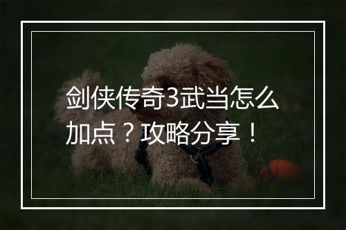 剑侠传奇3武当怎么加点？攻略分享！