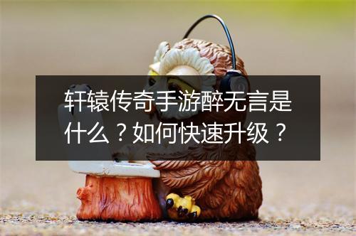 轩辕传奇手游醉无言是什么？如何快速升级？