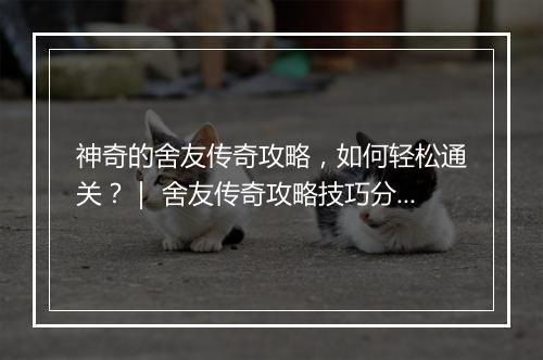 神奇的舍友传奇攻略，如何轻松通关？｜ 舍友传奇攻略技巧分享