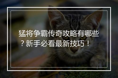 猛将争霸传奇攻略有哪些？新手必看最新技巧！