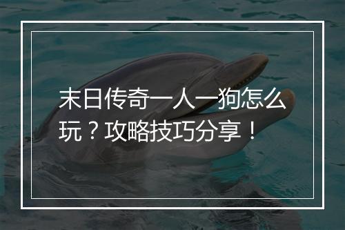 末日传奇一人一狗怎么玩？攻略技巧分享！