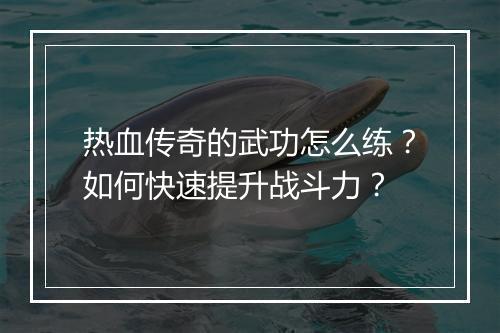 热血传奇的武功怎么练？如何快速提升战斗力？
