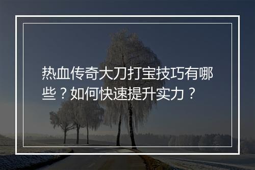 热血传奇大刀打宝技巧有哪些？如何快速提升实力？
