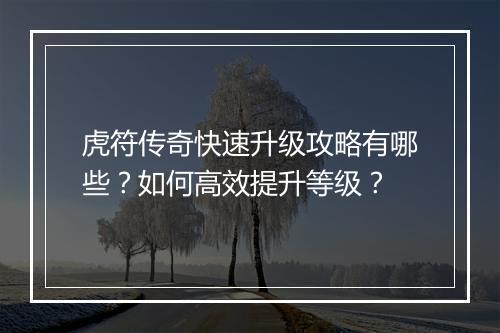 虎符传奇快速升级攻略有哪些？如何高效提升等级？